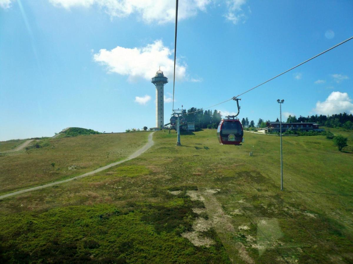 Apartment Gänseblümchen Willingen (Upland)